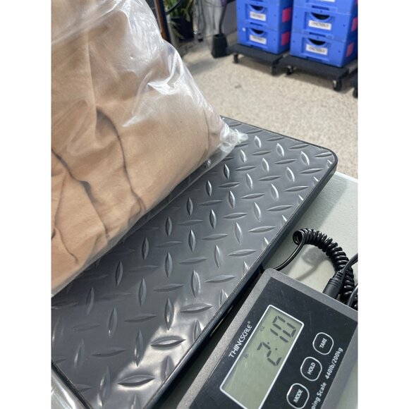 Renaissance Woman Costume Size Small Alexanders Costumes Beige Brown Neutral NEW - Picture 7 of 7